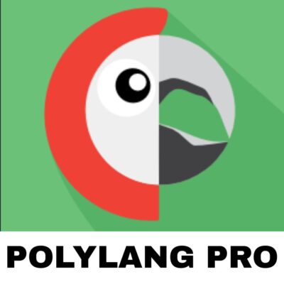 Polylang Pro
